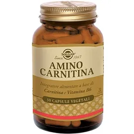 Amino Carnitina 30 Capsule