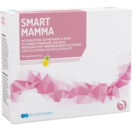 Smart Mamma 14 Bustine Gusto Ananas