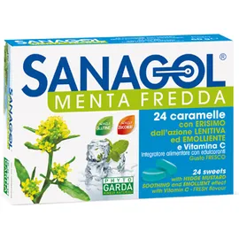 Sanagol Menta Fredda 24 Caramelle