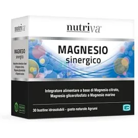 NUTRIVA MAGNESIO SINERGICO 66 G