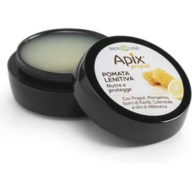 Apix Propoli Pomata Lenitiva Naso e Labbra 8 ml