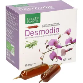 Desmodio+Rosmarino 15X10Ml Nse