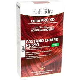 Euphidra Colorproi Xd 566 Castano Chiaro Rosso Sangria