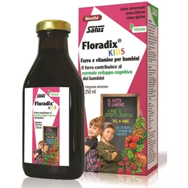 Floradix Kids 250 Ml
