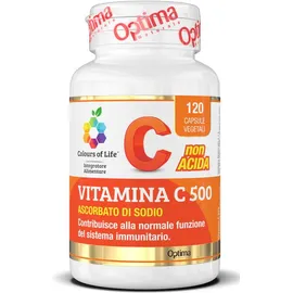 Vitamina C 500 120 capsule